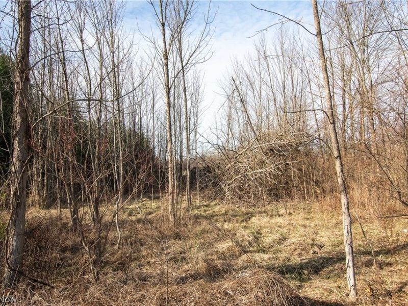 Norwalk Road , Litchfield, OH 44253 Photo 48