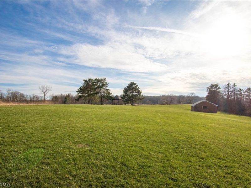 Norwalk Road , Litchfield, OH 44253 Photo 7