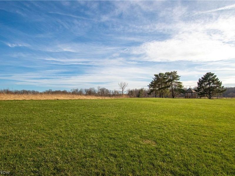 Norwalk Road , Litchfield, OH 44253 Photo 8