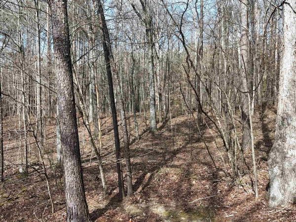 002 Toney Drive, Altoona, AL 35952