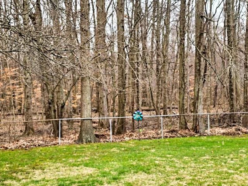 424 Sycamore Drive, Pickerington, OH 43147 Photo 2