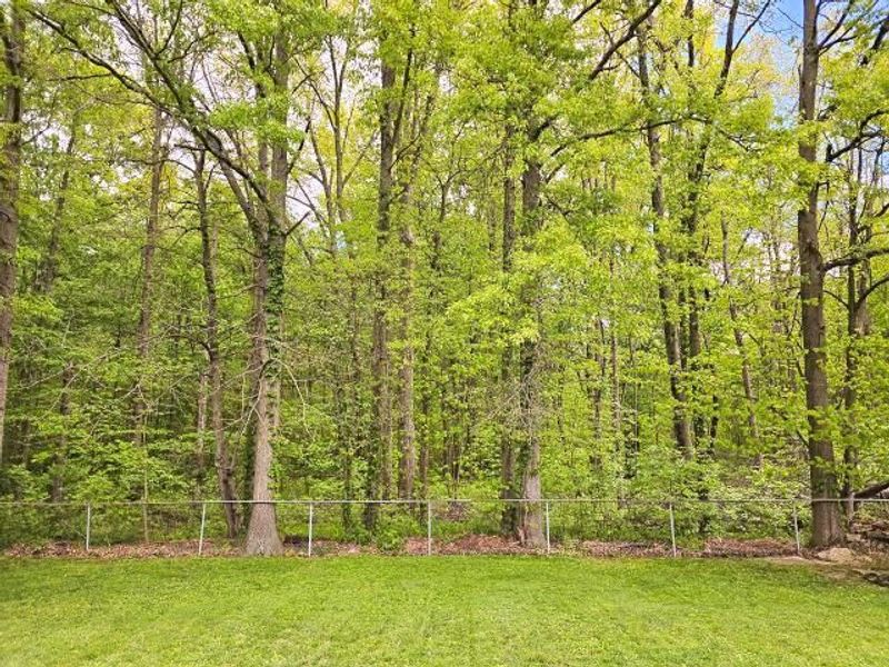 424 Sycamore Drive, Pickerington, OH 43147 Photo 2
