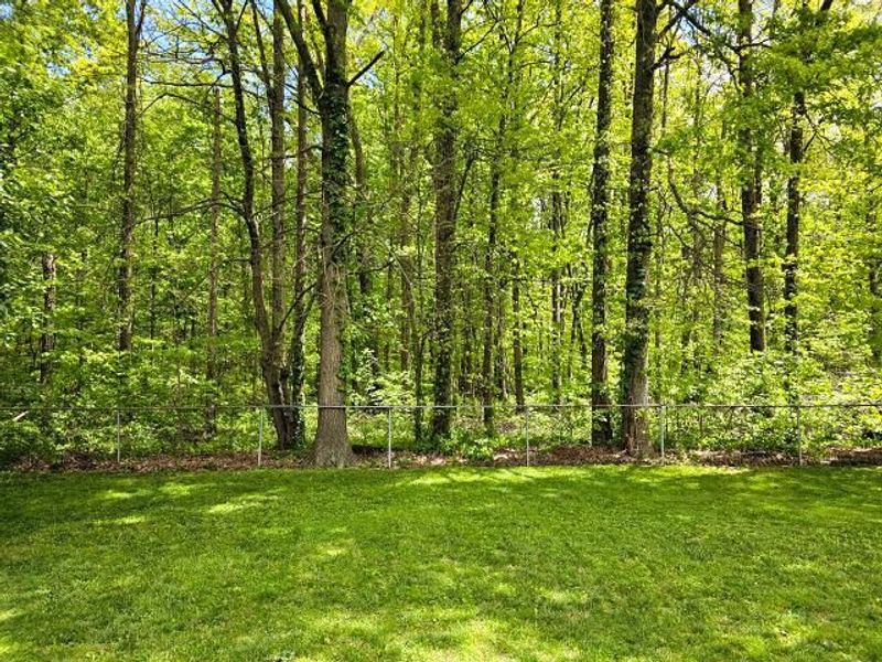 424 Sycamore Drive, Pickerington, OH 43147 Photo 44