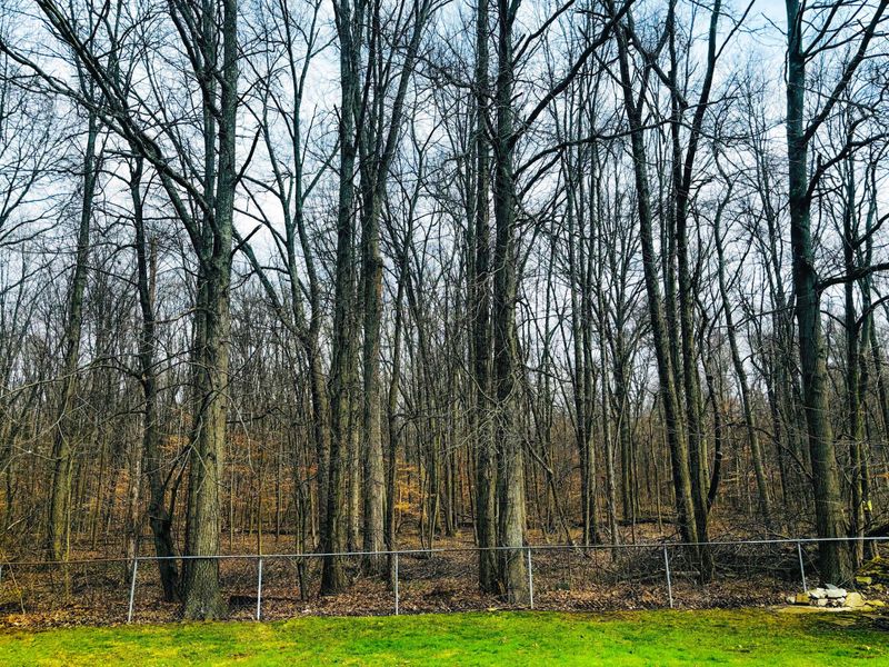 424 Sycamore Drive, Pickerington, OH 43147 Photo 47