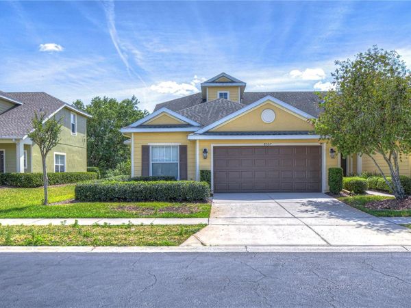 8507 SANDPIPER RIDGE AVENUE , TAMPA, FL 33647