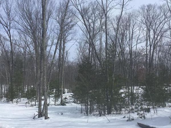 RHETT LANE, Wausaukee, WI 54177