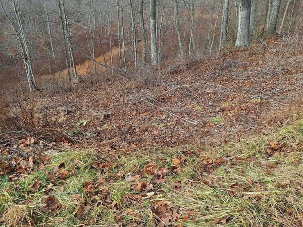 8914 Oak Hill Drive , Ashland, KY 41102