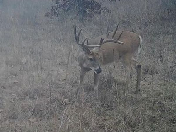 0000 N 3875 Road, Weleetka, OK 74839