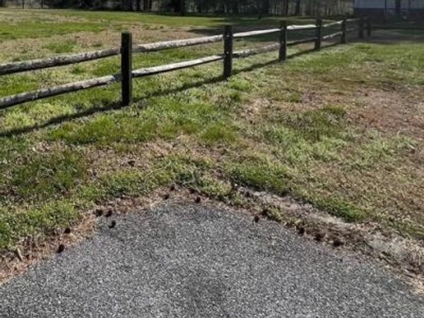 0 LAUREL STREET , POCOMOKE CITY, MD 21851