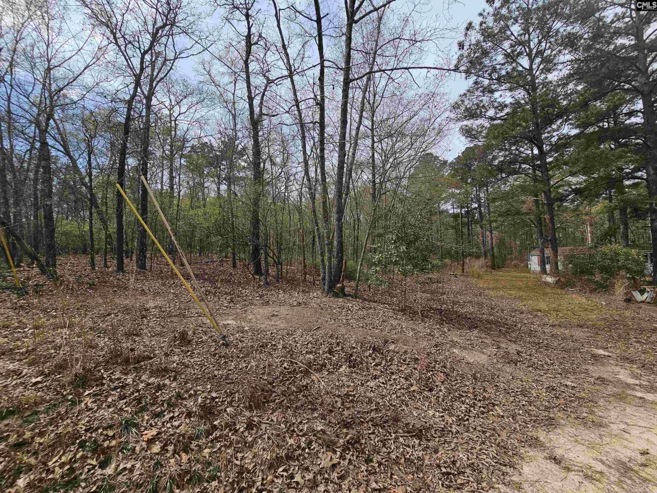 149 Grimes Road  Photo 11