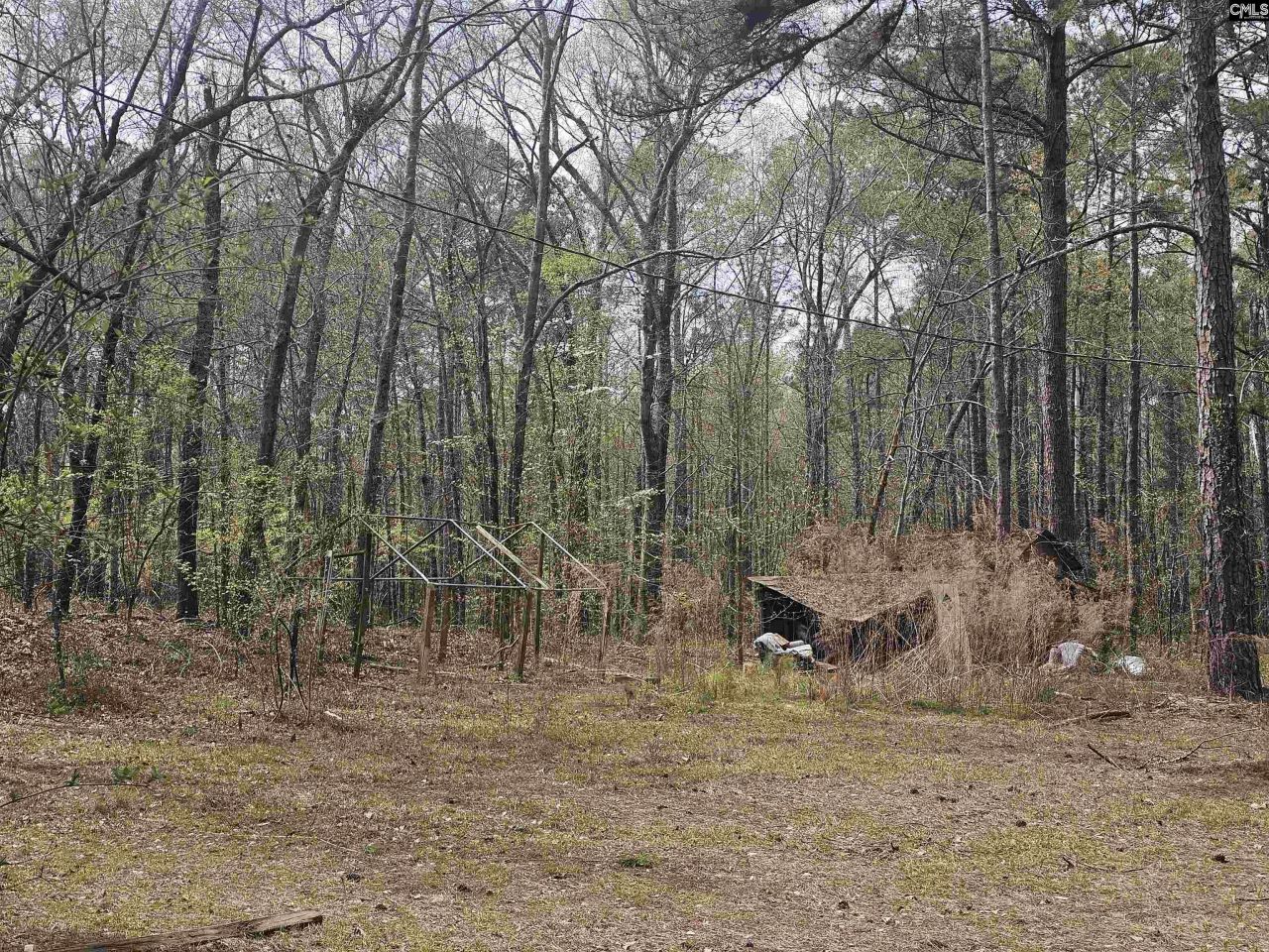 149 Grimes Road  Photo 12