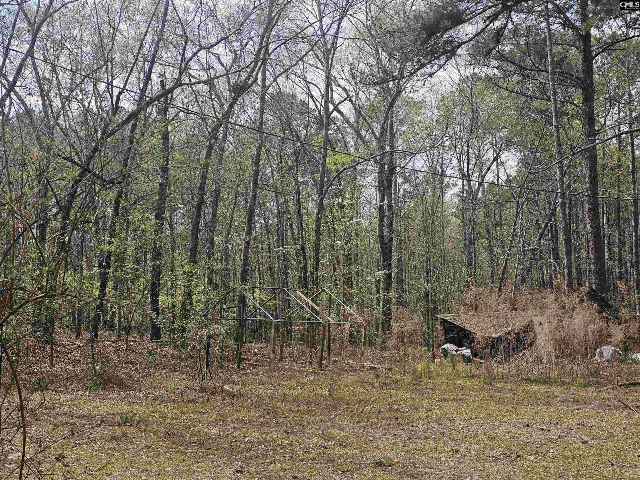 149 Grimes Road  Photo 13