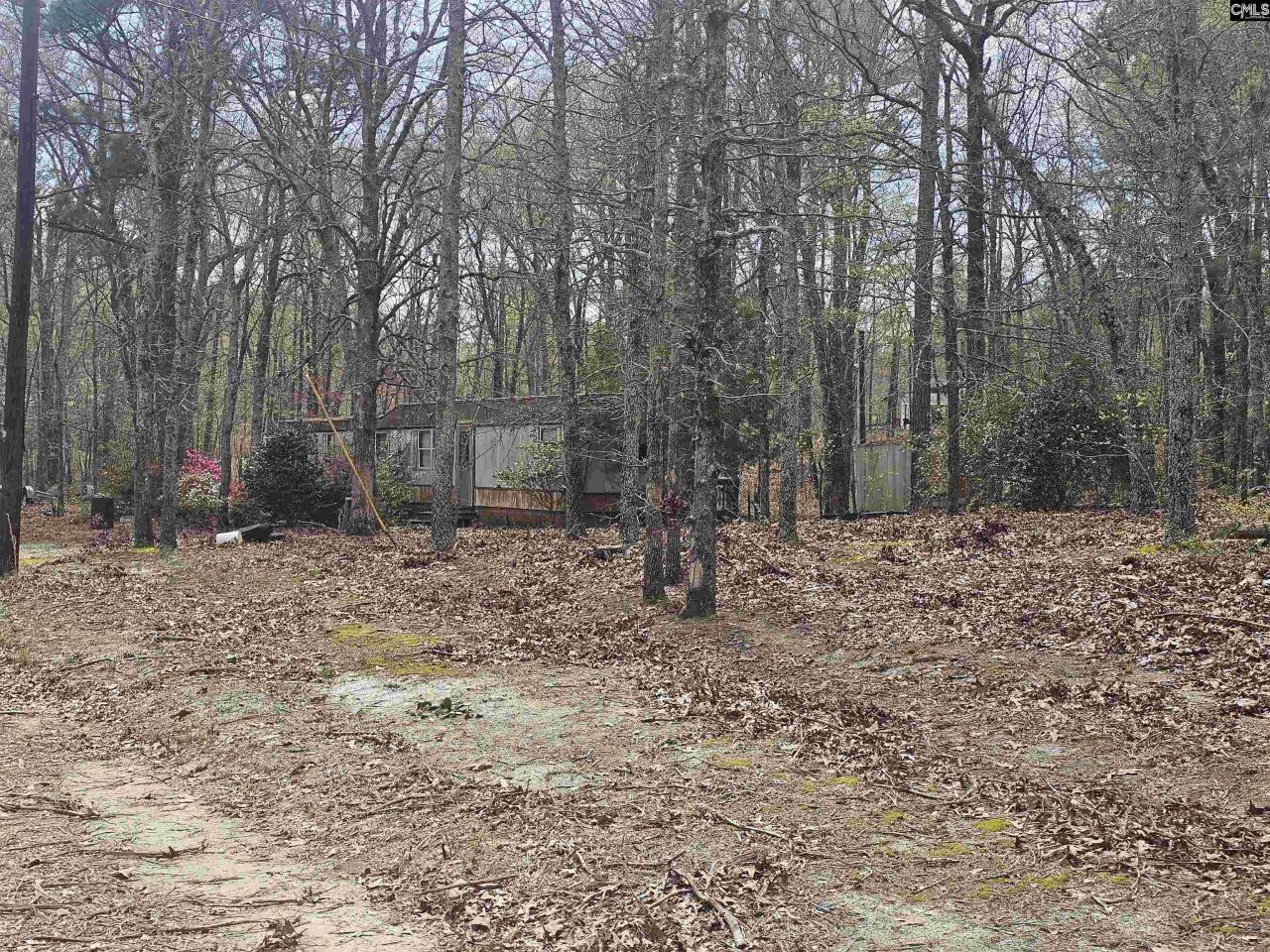 149 Grimes Road  Photo 16