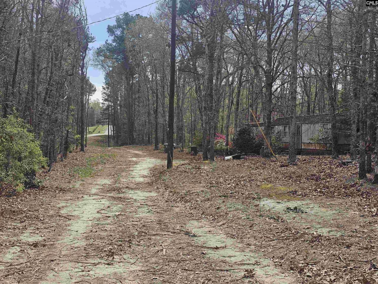 149 Grimes Road  Photo 17