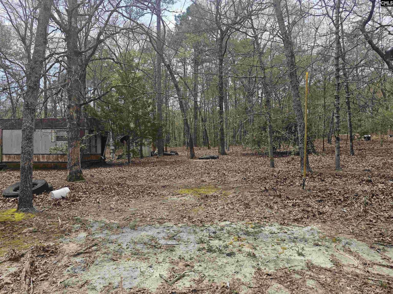 149 Grimes Road  Photo 18