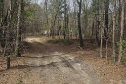 149 Grimes Road  photo 4