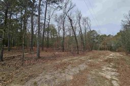 149 Grimes Road  photo 4