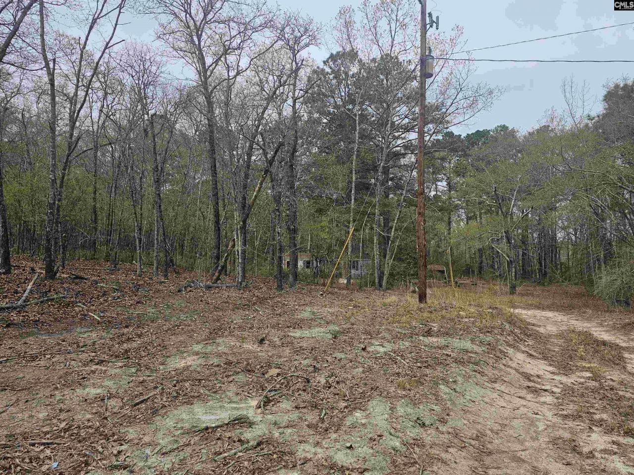 149 Grimes Road  Photo 8