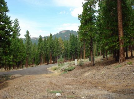 307 Big Cedar Lane, Portola, CA 96122 Photo