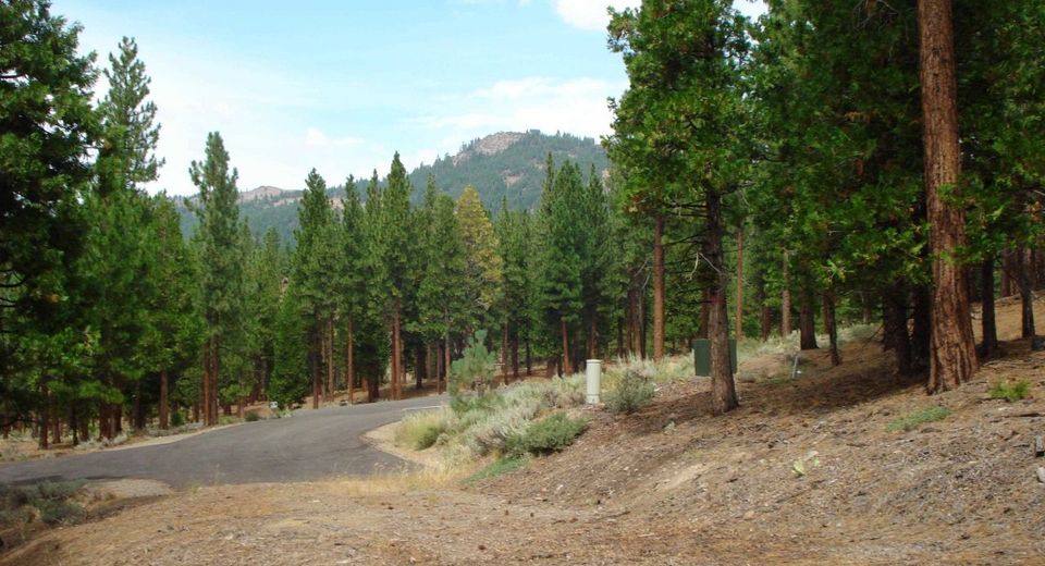 307 Big Cedar Lane, Portola, CA 96122 Photo