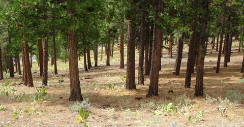 307 Big Cedar Lane, Portola, CA 96122 Photo