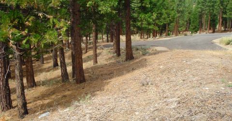 307 Big Cedar Lane, Portola, CA 96122 Photo