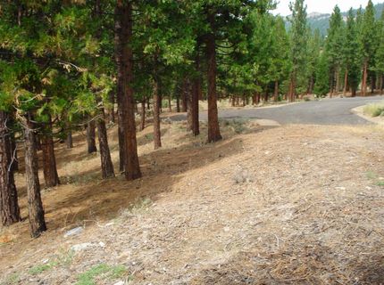 307 Big Cedar Lane, Portola, CA 96122 Photo