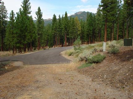 307 Big Cedar Lane, Portola, CA 96122 Photo