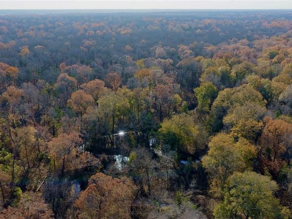 TBD FM 195 , Arthur City, TX 75411