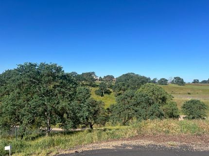 21 Verdin Ct, Wallace, CA 95254 Photo