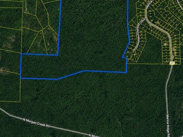 2 Marina Cove off road, Holladay, TN 38341