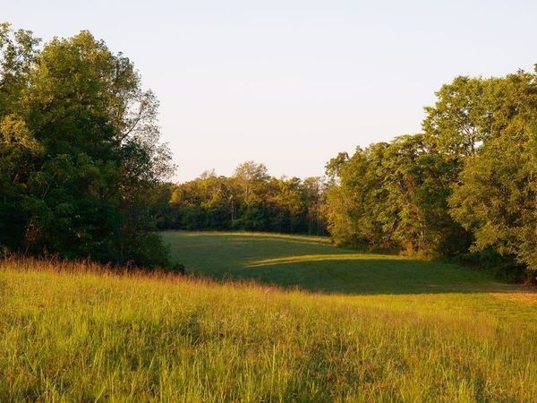 3685 Martin Ervin Rd , Santa Fe, TN 38482