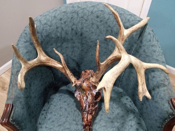 97 Three Springs , Long Lane, MO 65590