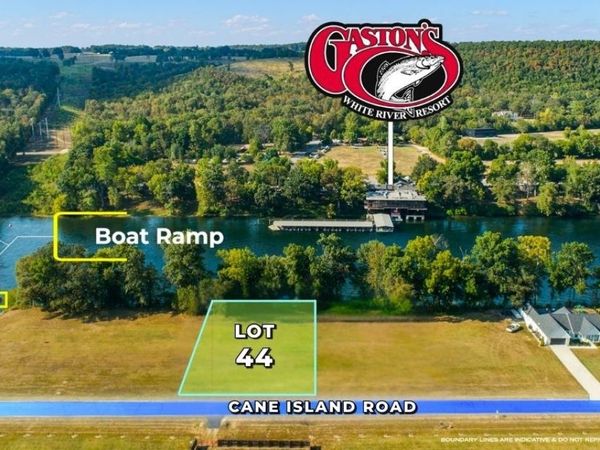 #44 Cane Island Road, Flippin, AR 72634