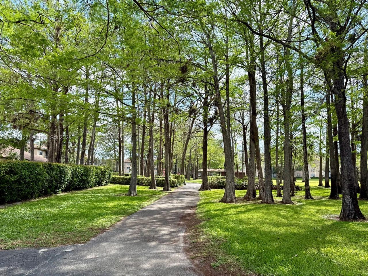 7900 NW 50th St, Unit 205, Lauderhill, FL 33351 Photo