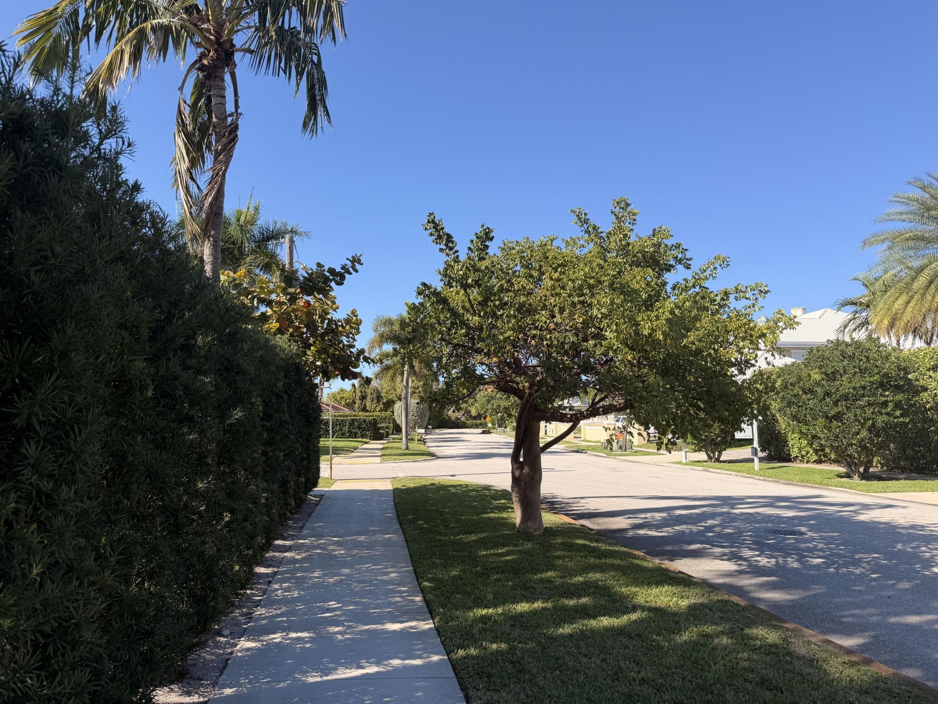 2015 Notre Dame Drive, Lake Worth Beach, FL 33460 Photo