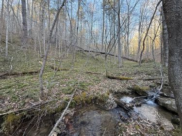 9991 Red Hill Road, Livingston, KY 40445