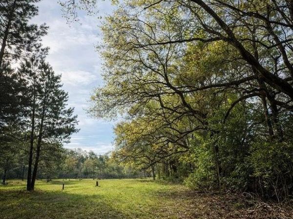 14 Acres F Z Goss Road, Picayune, MS 39466