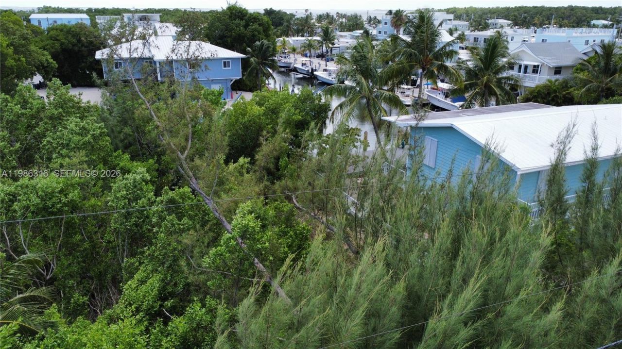 Please Call For Address, Key Largo, FL 33037 Photo