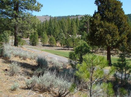 404 Blacktail Ridge, Lot #2, Portola, CA 96122 Photo
