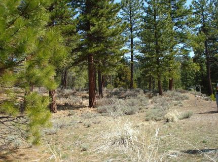 404 Blacktail Ridge, Lot #2, Portola, CA 96122 Photo