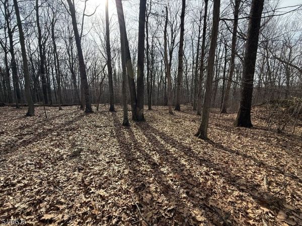 164 North Rd, Chester, NJ 07930