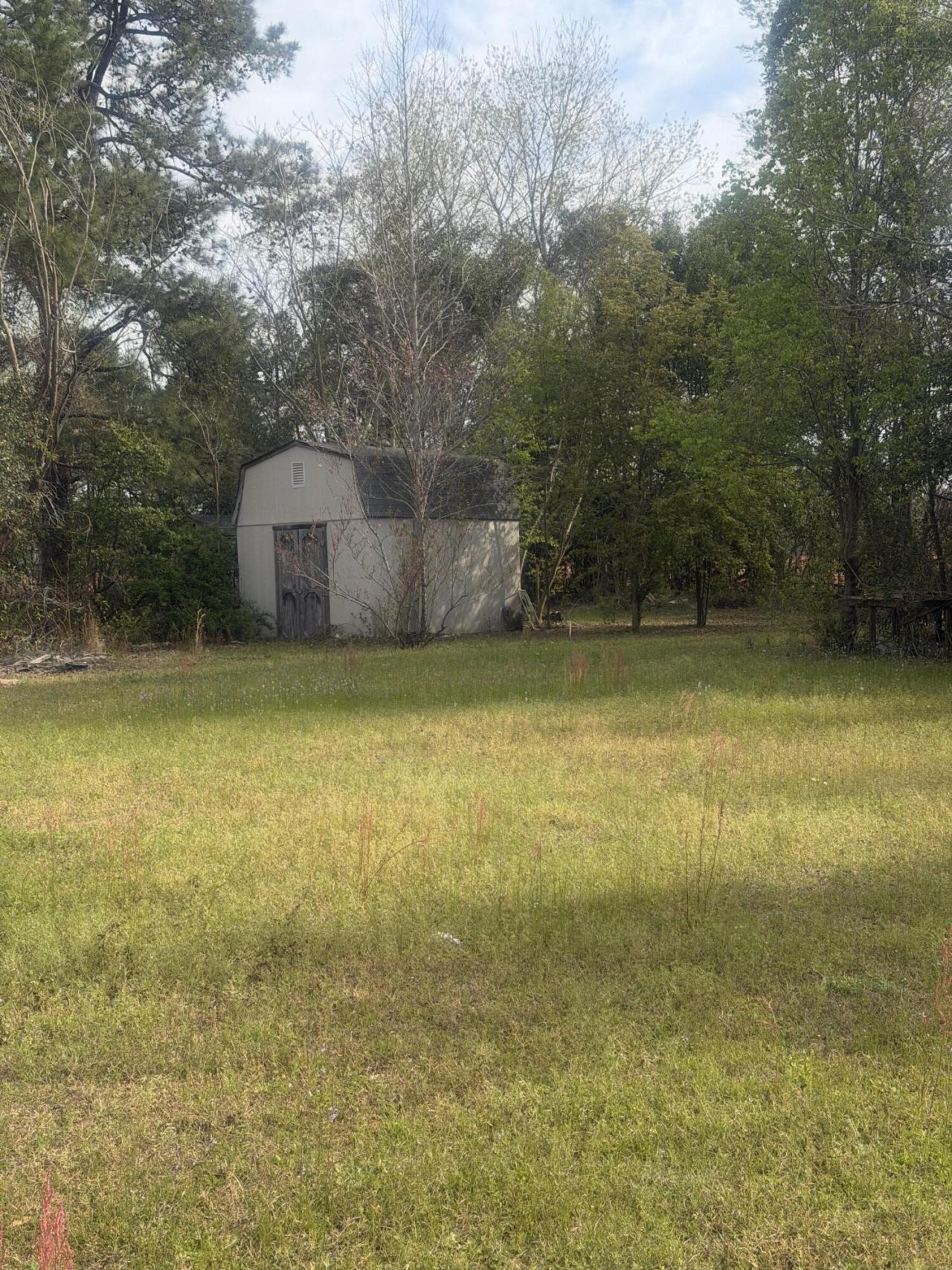 144 Arant Drive Photo 19