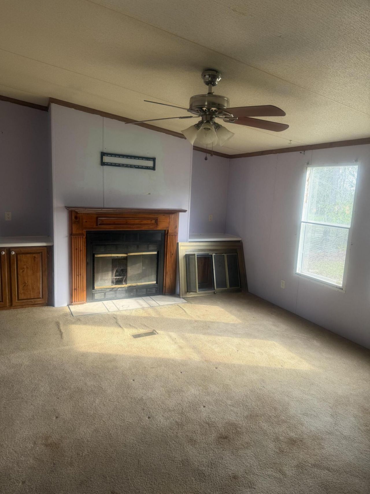 144 Arant Drive Photo 4