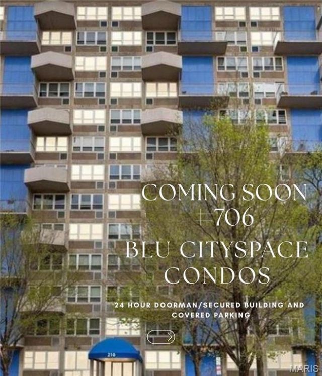 210 N 17th Street, Unit 706, Saint Louis, MO 63103 Main Photo