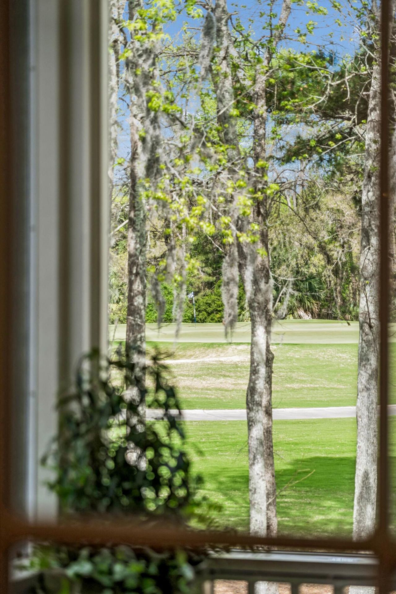 401 Creek Landing Street Photo 26