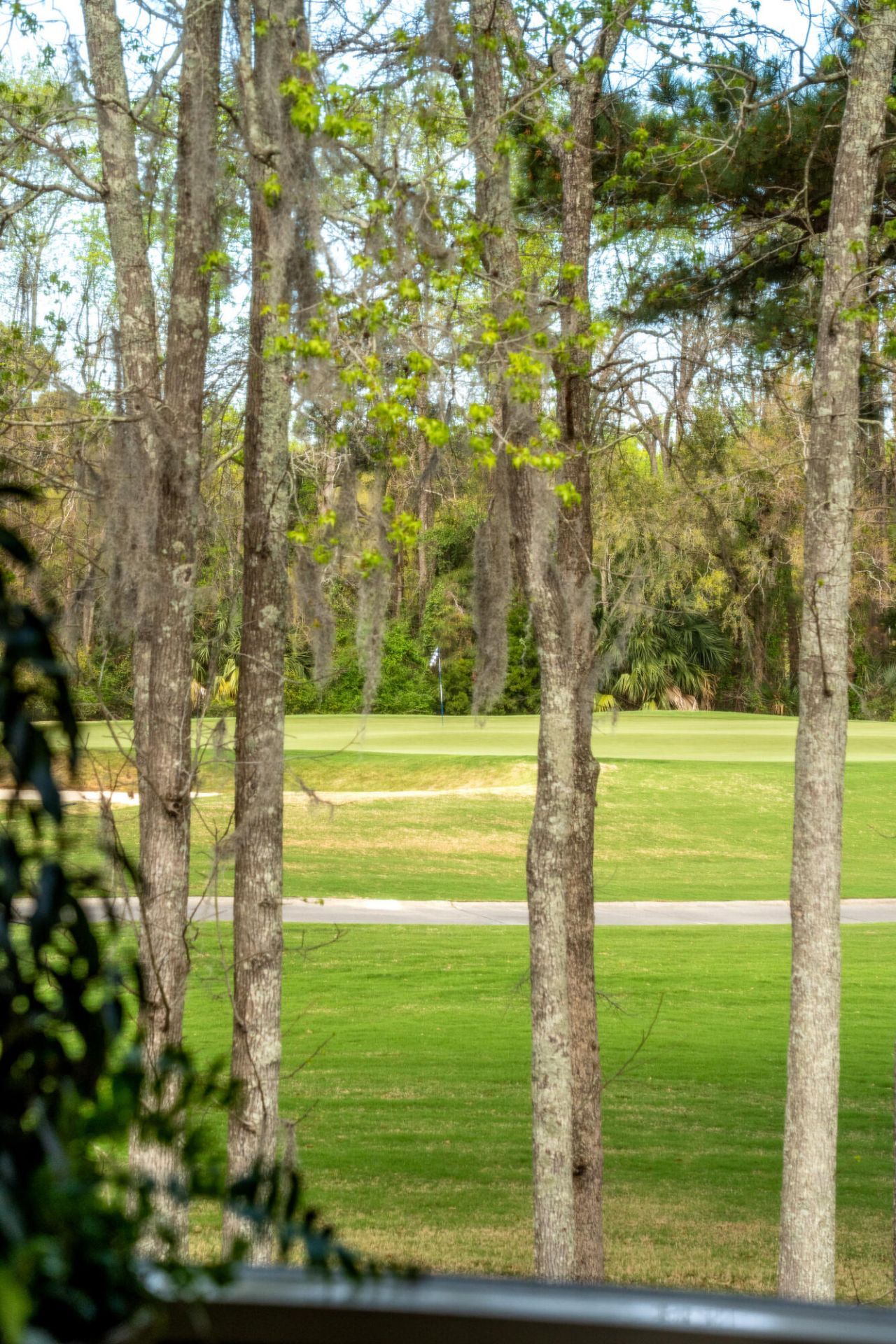 401 Creek Landing Street Photo 31