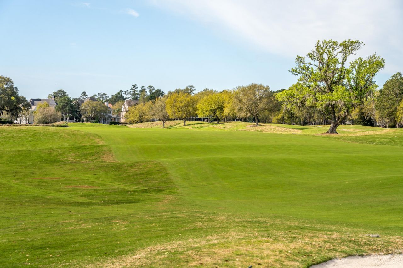 401 Creek Landing Street Photo 41