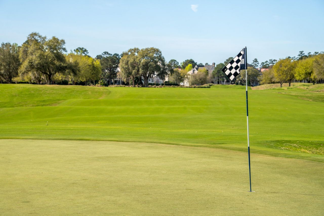 401 Creek Landing Street Photo 42