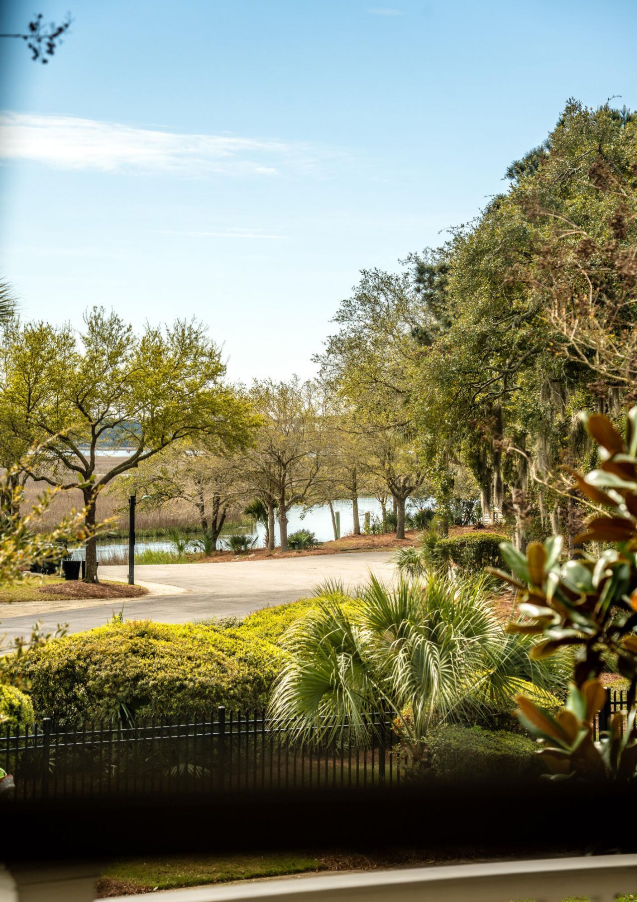 401 Creek Landing Street Photo 64